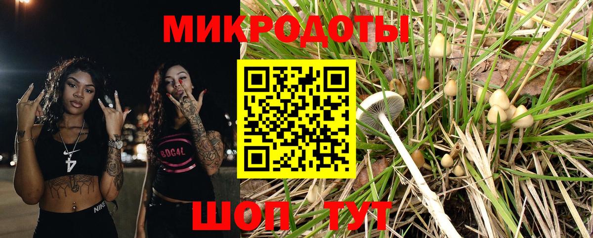 Галлюциногенные грибы Magic Shrooms  Псилоцибиновые грибы Cubensis  Михайловск  Вход с VPN 