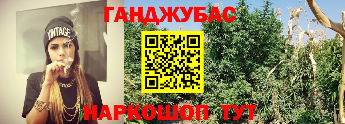 Шишки марихуана планчик Михайловск